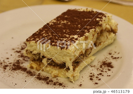 本場イタリアで食べるティラミス 本場イタリアで食べるティラミス 46513179