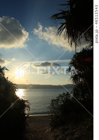 古座間味ビーチ　日の出　風景 46513543