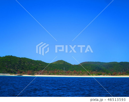 沖縄　慶良間諸島　風景 46513593