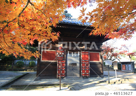 慈眼堂　紅葉 46513627