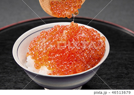 いくらご飯 いくらご飯 46513679