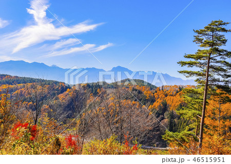 南アルプス連峰と黄葉の山々 南アルプス連峰と黄葉の山々 46515951