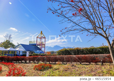【山梨県北杜市】秋の南八ヶ岳花の森公園 【山梨県北杜市】秋の南八ヶ岳花の森公園 46515954