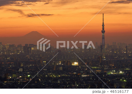 千葉県　市川市　アイリンクタウン展望室の風景 46516177