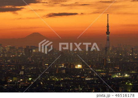 千葉県 市川市 アイリンクタウン展望室の風景 千葉県 市川市 アイリンクタウン展望室の風景 46516178