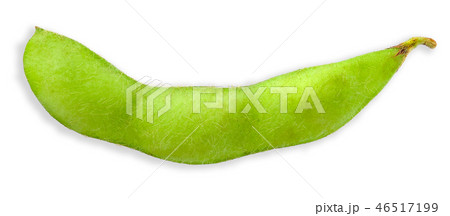 Green soy bean isolated on white clipping path Green soy bean isolated on white clipping path 46517199