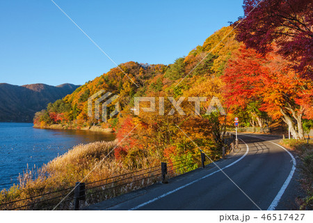 Momiji tunnel at lake Kawaguchiko in autumn season Momiji tunnel at lake Kawaguchiko in autumn season 46517427