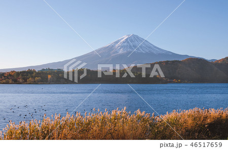 Fuji mountain and lake Kawaguchiko in autumn. Fuji mountain and lake Kawaguchiko in autumn. 46517659