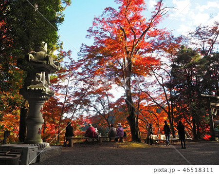 東郷公園 46518311