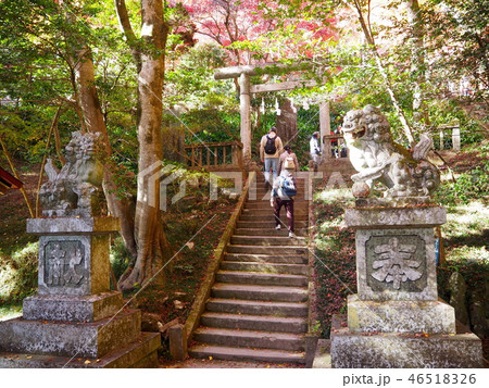 秩父御嶽神社 秩父御嶽神社 46518326
