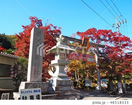 秩父御嶽神社 46518333