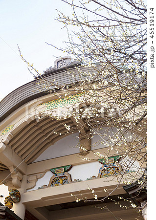 湯島天満宮(湯島天神) 登竜門と梅の花 湯島天満宮(湯島天神) 登竜門と梅の花 46519174