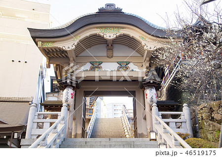 湯島天満宮(湯島天神) 登竜門と梅の花 湯島天満宮(湯島天神) 登竜門と梅の花 46519175