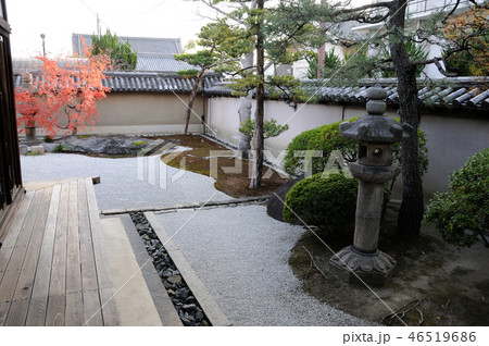観智院の紅葉 観智院の紅葉 46519686