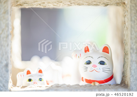 豪徳寺の招き猫 46520192