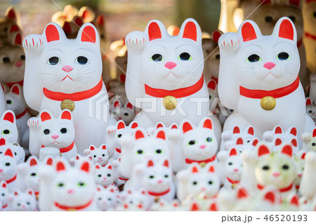 豪徳寺の招き猫 46520193