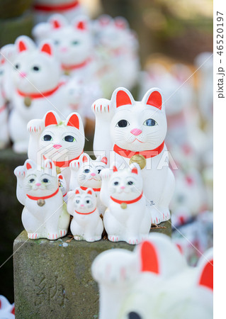 豪徳寺の招き猫 46520197