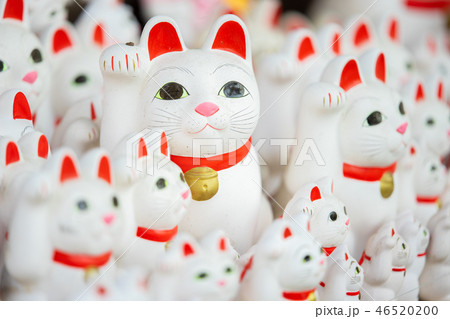 豪徳寺の招き猫 46520200