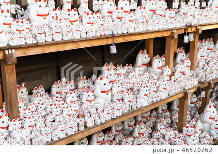 豪徳寺の招き猫 46520262