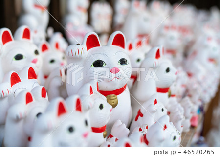 豪徳寺の招き猫 46520265