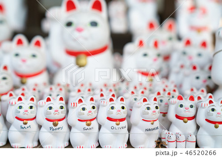 豪徳寺の招き猫 豪徳寺の招き猫 46520266