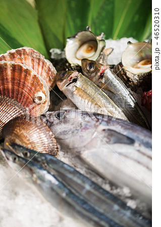 海鮮食材 海鮮食材 46520310