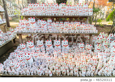 豪徳寺の招き猫 豪徳寺の招き猫 46520311