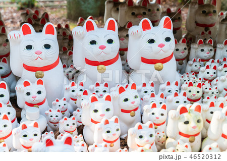 豪徳寺の招き猫 豪徳寺の招き猫 46520312