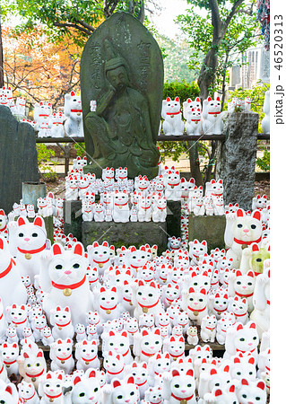 豪徳寺の招き猫 46520313