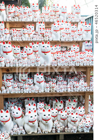 豪徳寺の招き猫 豪徳寺の招き猫 46520314
