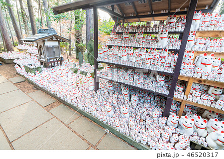 豪徳寺の招き猫 豪徳寺の招き猫 46520317