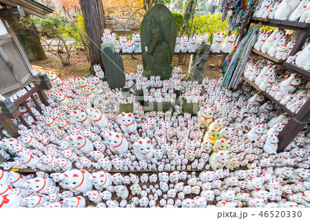 豪徳寺の招き猫 46520330