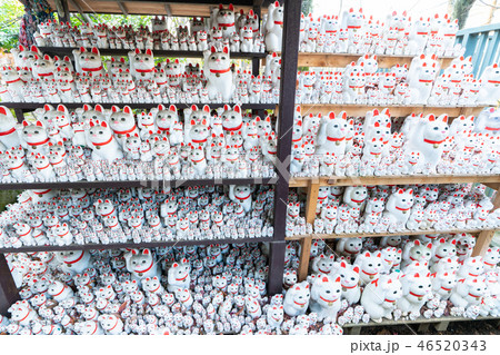 豪徳寺の招き猫 豪徳寺の招き猫 46520343