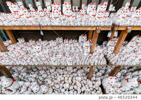 豪徳寺の招き猫 46520344