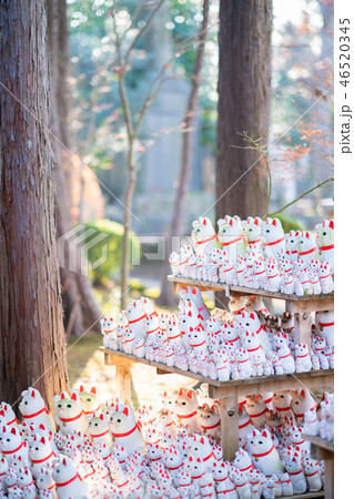 豪徳寺の招き猫 46520345