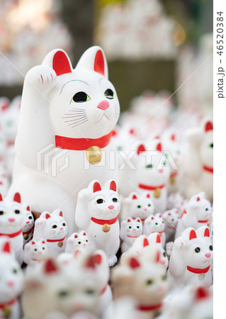 豪徳寺の招き猫 豪徳寺の招き猫 46520384