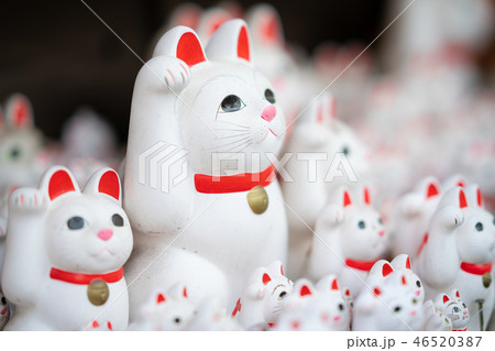 豪徳寺の招き猫 豪徳寺の招き猫 46520387