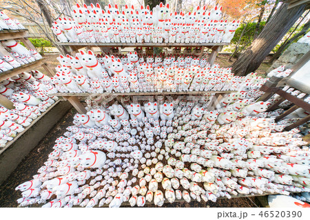 豪徳寺の招き猫 46520390