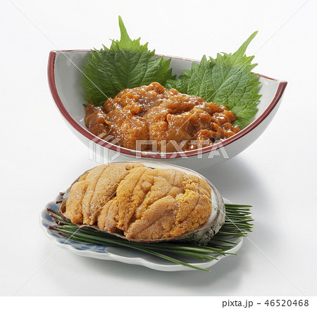 焼きウニと塩ウニ 46520468
