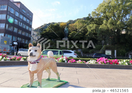 西郷隆盛像とツン 西郷隆盛像とツン 46521565