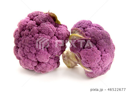 パープルカリフラワー 46522677