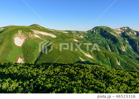 夏の双六岳と三俣蓮華岳 46523316