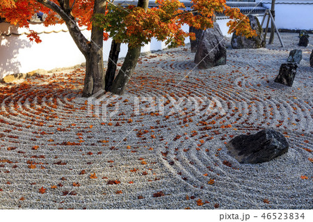 光明禅寺の紅葉 光明禅寺の紅葉 46523834