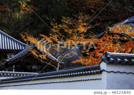 光明禅寺の紅葉の写真素材