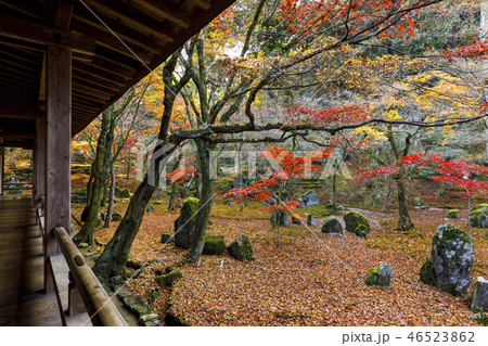 光明禅寺の紅葉の写真素材