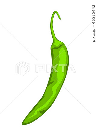 Cartoon green hot pepper. Cartoon green hot pepper. 46525442