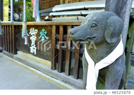 狛犬　高山水不動尊 46525870