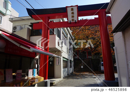 厳島神社 46525898