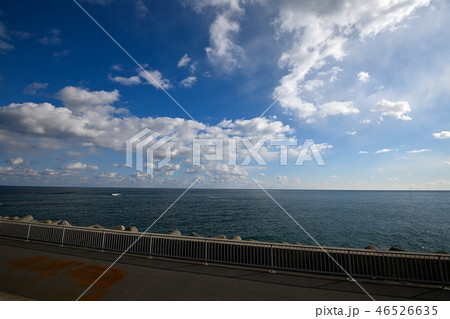 茨城　浜の宮公園の海 46526635
