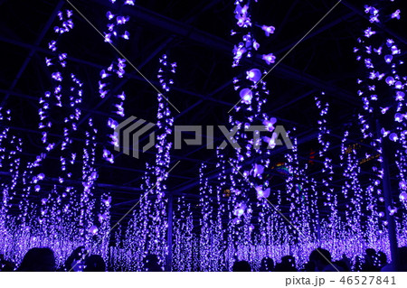 栃木県 足利 イルミネーション 46527841